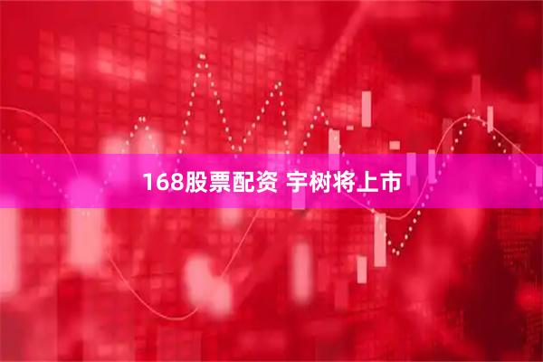 168股票配资 宇树将上市