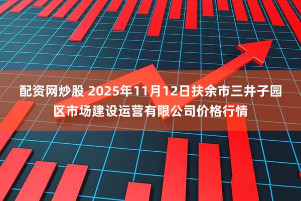 配资网炒股 2025年11月12日扶余市三井子园区市场建设运营有限公司价格行情